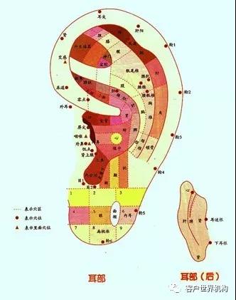 微信图片_20190304110254.jpg